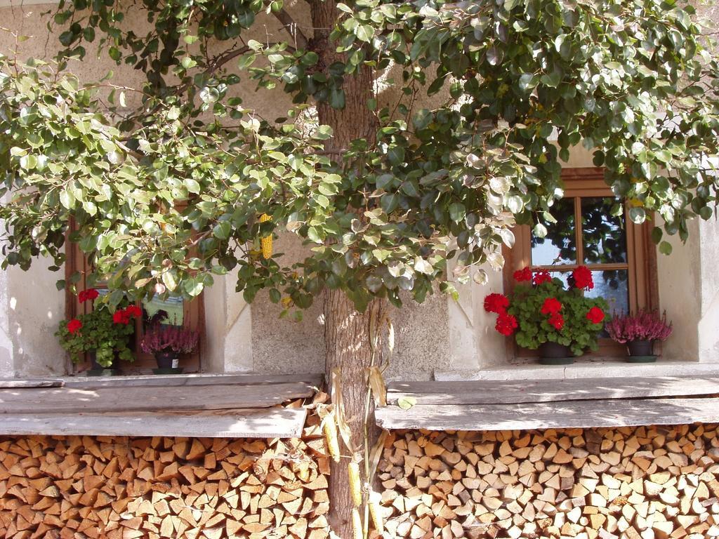 Mansarda Dolomiti Διαμέρισμα Rasun di Sopra Εξωτερικό φωτογραφία